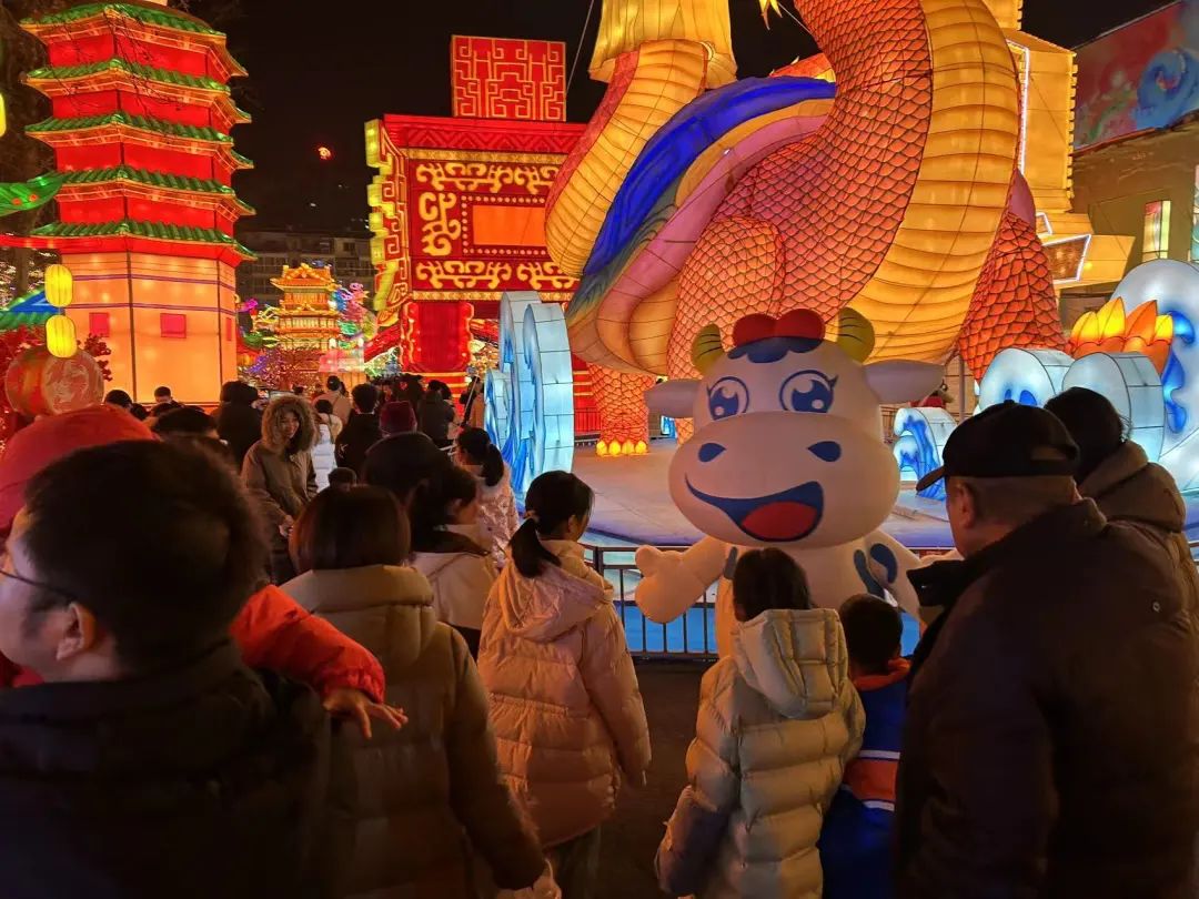 央視直播鄭州龍年燈會(huì)迎新春，花花牛品牌上大分