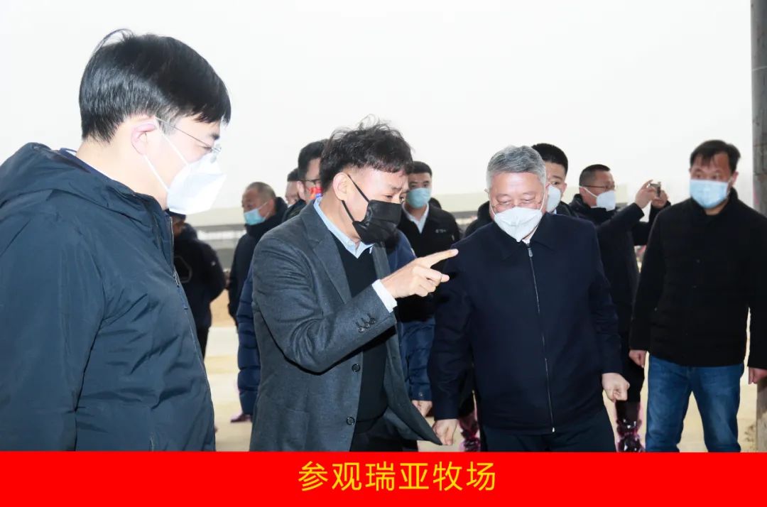 新年開新局 合作促發(fā)展丨佳木斯市委常委、副市長閆志剛一行蒞臨花花牛乳業(yè)集團及佳田企業(yè)考察座談