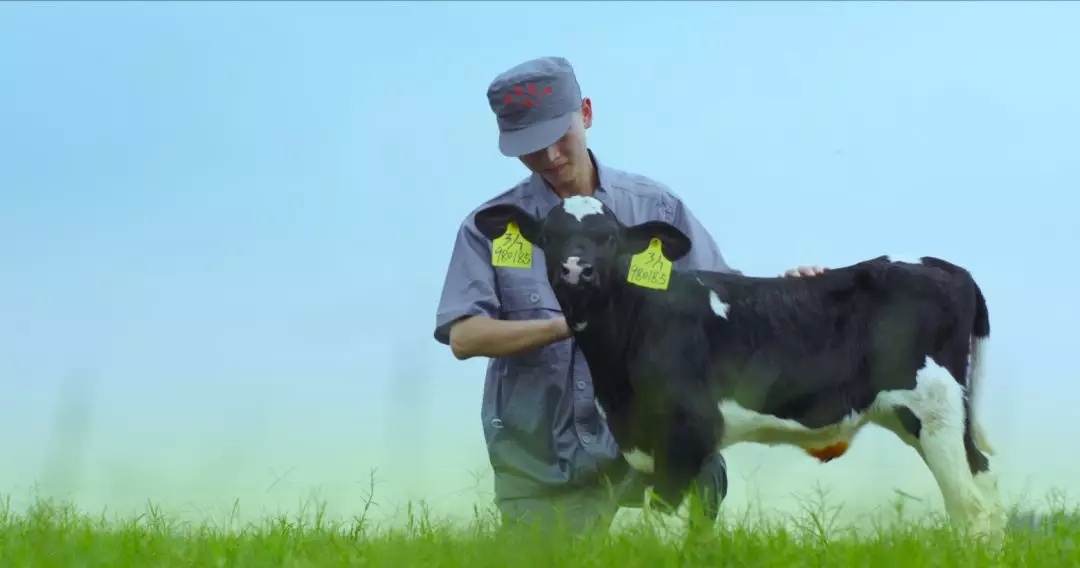 河南省人大常委會黨組書記、副主任孔昌生蒞臨花花牛魯山瑞亞牧場參觀調(diào)研