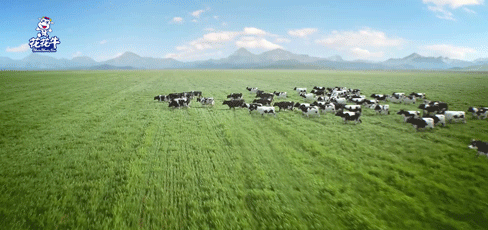 快訊 | 2020河南民營企業(yè)100強發(fā)布 花花牛榮獲“河南民營企業(yè)現(xiàn)代農(nóng)業(yè)100強”、“河南民營企業(yè)社會責(zé)任100強”雙榮譽