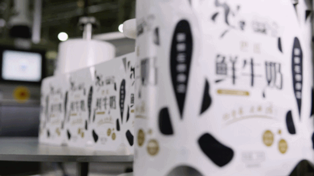 快訊 | 長江商學(xué)院智能制造學(xué)會走進花花牛乳業(yè)集團