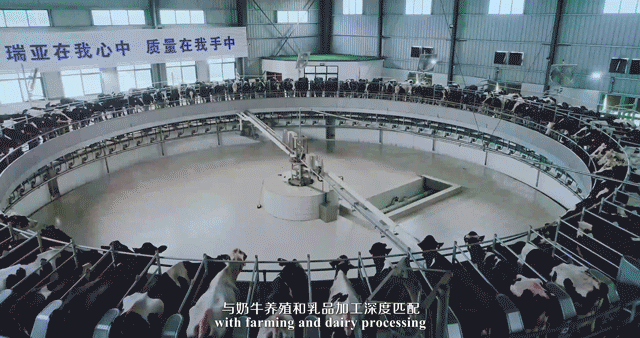 快訊 | 湖北省農(nóng)業(yè)廳副廳長(zhǎng)王海濤等領(lǐng)導(dǎo)一行蒞臨河南花花牛乳業(yè)集團(tuán)參觀調(diào)研 快訊 | 湖北省農(nóng)業(yè)廳副廳長(zhǎng)王海濤等領(lǐng)導(dǎo)一行蒞臨河南花花牛乳業(yè)集團(tuán)參觀調(diào)研