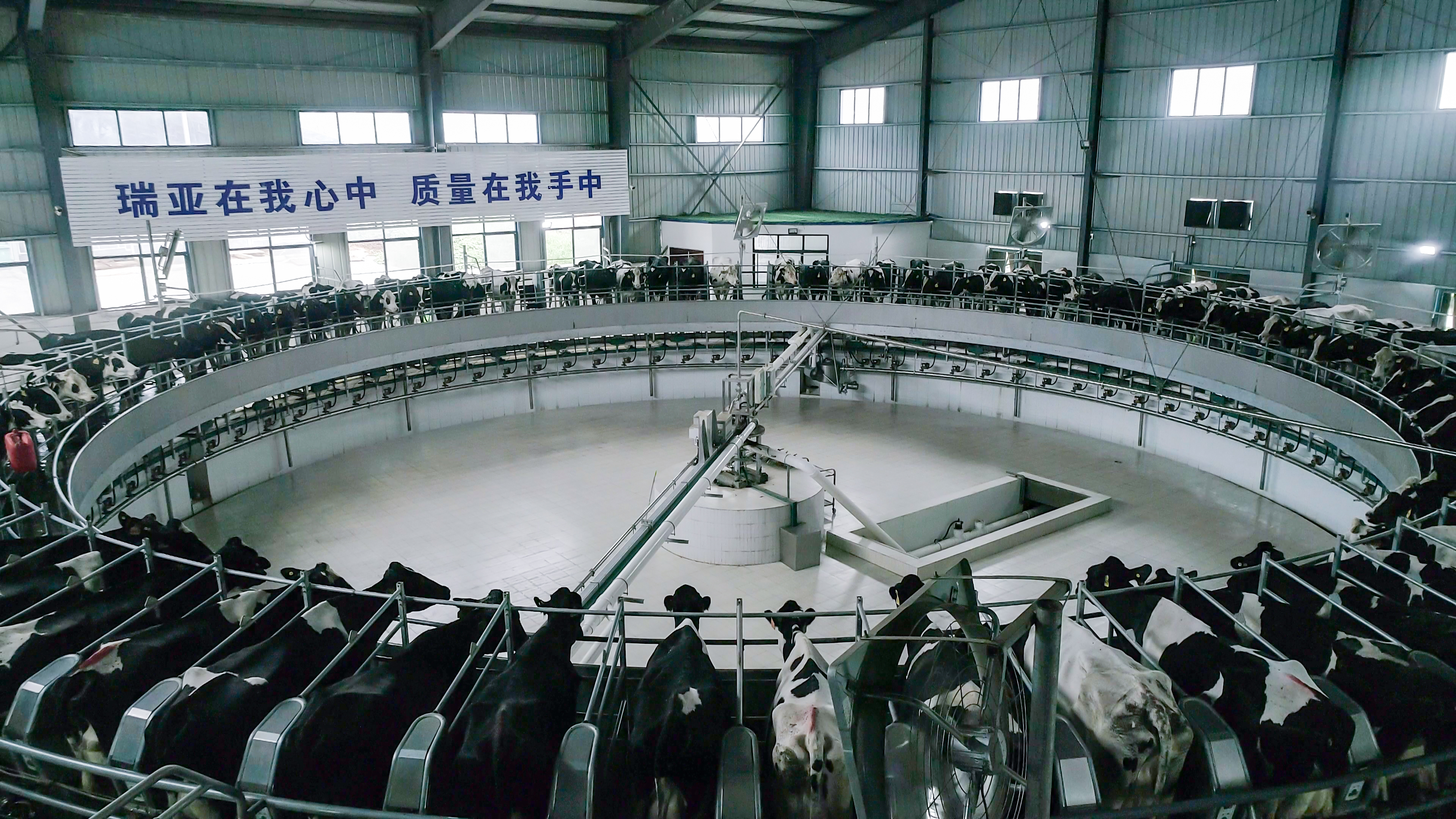 河南省委常委、組織部部長孔昌生 蒞臨河南花花牛集團(tuán)魯山瑞亞牧業(yè)有限公司調(diào)研