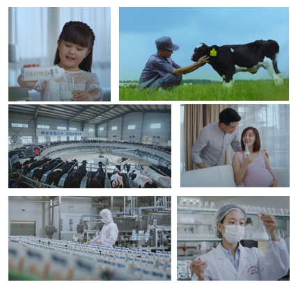 花花牛亮相中國奶業(yè)20強呼倫貝爾峰會，共話中國奶業(yè)振興！