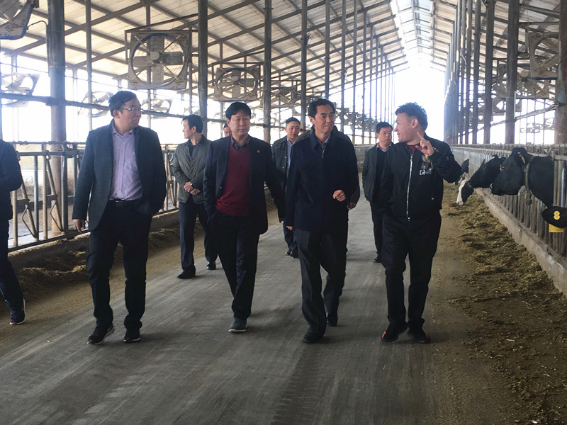 封丘縣縣長王獻(xiàn)臣一行蒞臨 花花牛集團(tuán)養(yǎng)殖、乳品事業(yè)部參觀調(diào)研