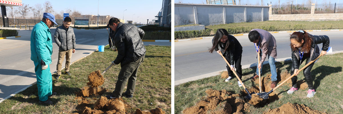 2016年植樹節(jié)活動 2016年植樹節(jié)活動