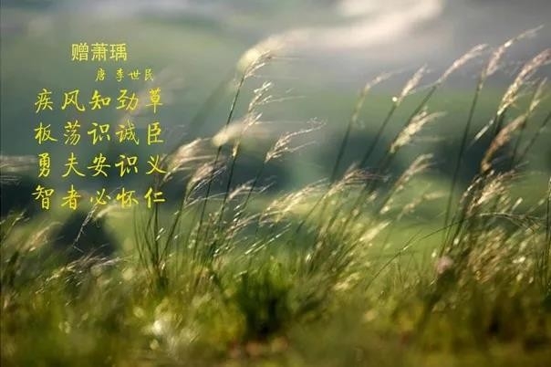 花花牛 | 疾風來臨，你是不是勁草？