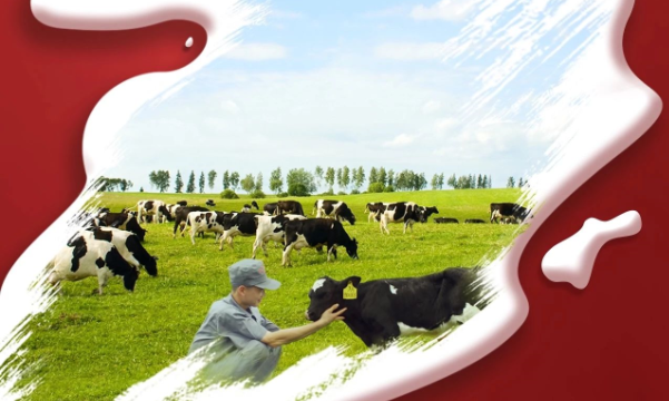 喜報(bào)！花花牛董事長關(guān)曉彥再獲”優(yōu) 秀企業(yè)家”稱號(hào)